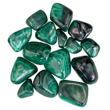 Load image into Gallery viewer, Tumbled Malachite Crystals on a white background - Down To Earth
