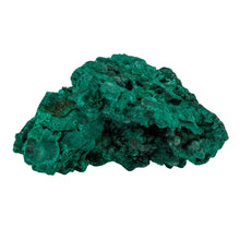 Load image into Gallery viewer, Malachite Cluster with White Background - Down To Earth
