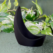 Load image into Gallery viewer, Mini Crescent Moon Planter up close with plants displayed on a styled background - Down to Earth

