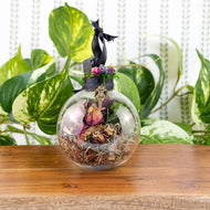 Morrigan Witch Ball front facing with plants displayed on a styled background - Down To Earth