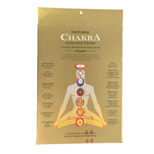 Load image into Gallery viewer, Natural Chakra Collection Premium Incense Sticks Back - Down To Earth
