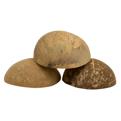 Natural Coconut Shells - Down To Earth