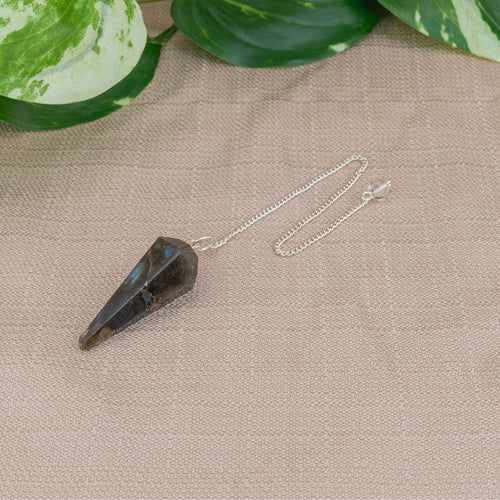 Labradorite Faceted Pendulum - Down To Earth