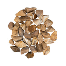 Load image into Gallery viewer, Tumbled Picture Jasper Crystals - Down To Earth
