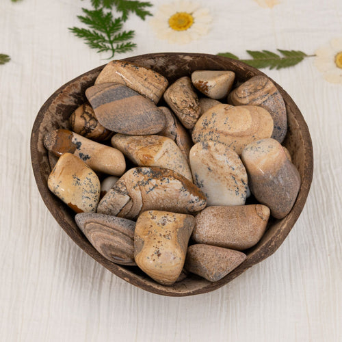 Tumbled Picture Jasper Crystals - Down To Earth