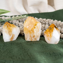 Load image into Gallery viewer, Point Citrine Green Background - Down To Earth
