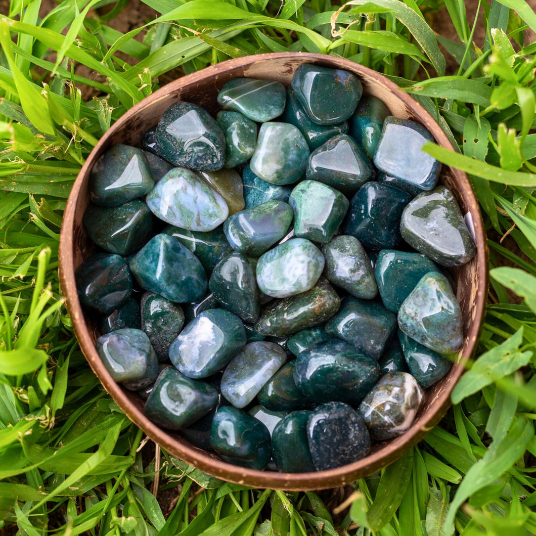 Polished Green Moss Agate in a coconut bowl - Down To Earth