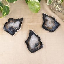 Load image into Gallery viewer, Premiere Agate Slice SM group photo on a style background - Down To Earth
