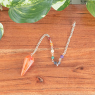 Premiere Carnelian Faceted Pendulum with 7 Chakra top down with plants on a style background - Down To Earth
