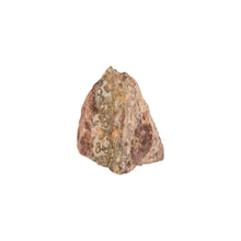 Load image into Gallery viewer, One piece of Leopardskin Jasper Raw displayed on a white background - Down to Earth
