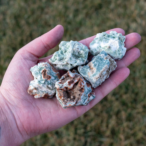 Raw Tree Agate in Palm of Hand - Down To Earth