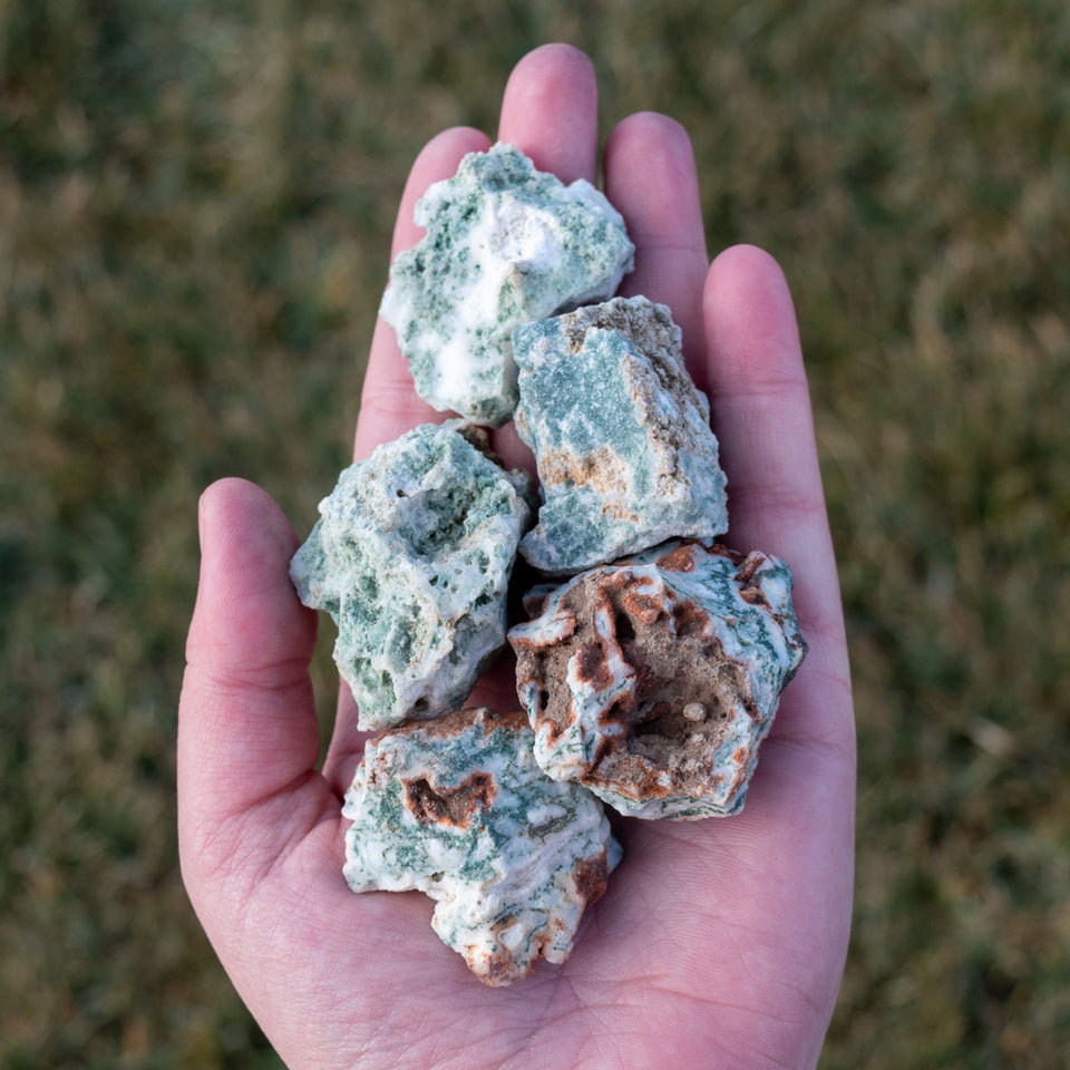 Raw Tree Agate in Palm of Hand - Down To Earth