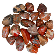 Load image into Gallery viewer, Tumbled Red Brecciated Jasper on a white background - Down to Earth
