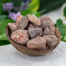 Load image into Gallery viewer, Raw Leopardskin Jasper side angle in a coconut shell - Down To Earth
