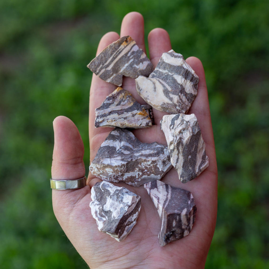 Rough Zebra Jasper in the Palm of a Hand - Down To Earth