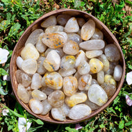 Rutilated Quartz Tumbled in Coconut Bowl - Down To Earth Quality Gemstones