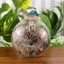 Load image into Gallery viewer, Sea Witch Ball front facing with plants on a styled background - Down To Earth
