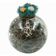 Sea Witch Ball - Down To Earth