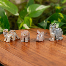 Load image into Gallery viewer, Stone Animal Spirit Guide styled group photo on a wooden background - Down to Earth 
