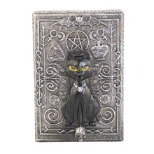 Load image into Gallery viewer, The Black Cat Tarot Card Storage Box front facing on a white background - Down To Earth
