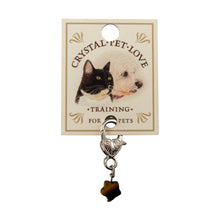 Load image into Gallery viewer, "Crystal Tiger's Eye Pet Pendant on a branded card with a white background," - Down to Earth.
