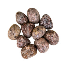 Load image into Gallery viewer, &quot;Pile of tumbled white leopardskin jasper crystals against a white background,&quot; - Down to Earth.
