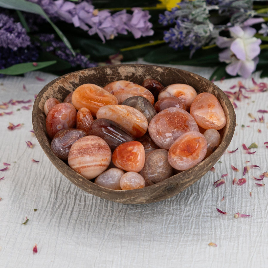 Tumbled Branded Carnelian within a styled photo - Down to Earth