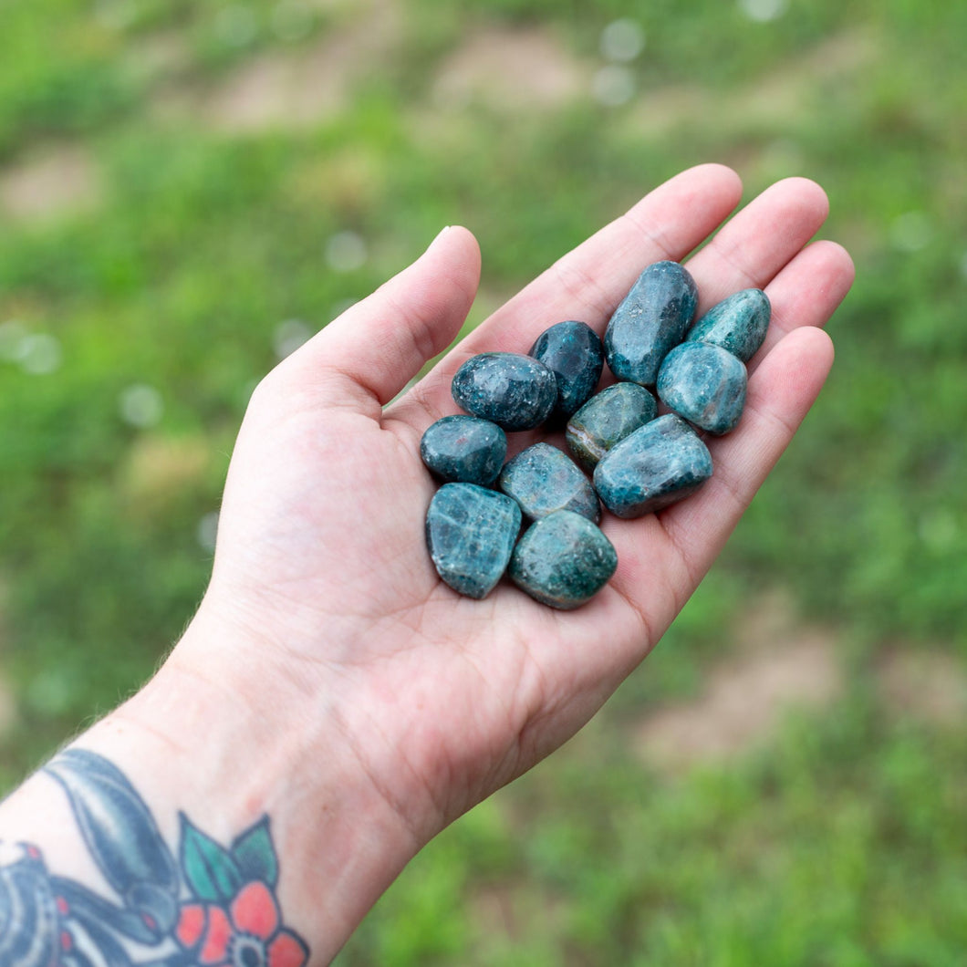 Blue Apatite Tumbled in Hand - Down To Earth