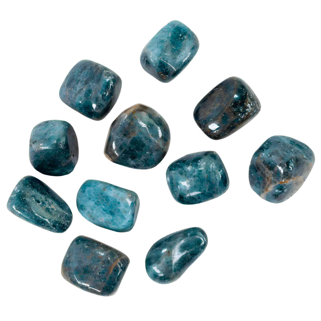 Tumbled Blue Apatite Crystals - Down To Earth