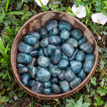 Load image into Gallery viewer, Blue Apatite Tumbled in a coconut bowl - Down To Earth
