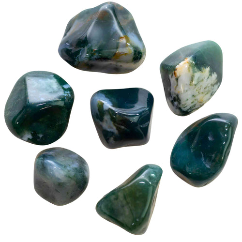 Tumbled Green Moss Agate Crystals - Down To Earth