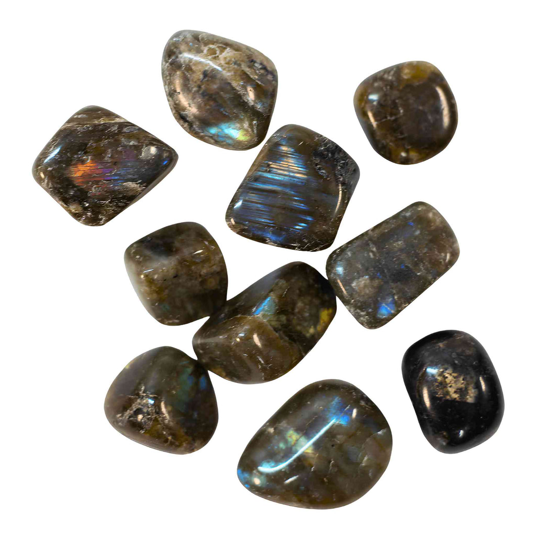 Tumbled Labradorite Crystals - Down To Earth