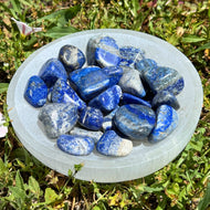 Lapis Lazuli Tumbled in Selenite Bowl - Down To Earth