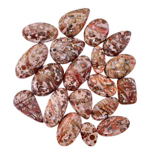 Tumbled Leopardskin Jasper Crystals - Down to Earth