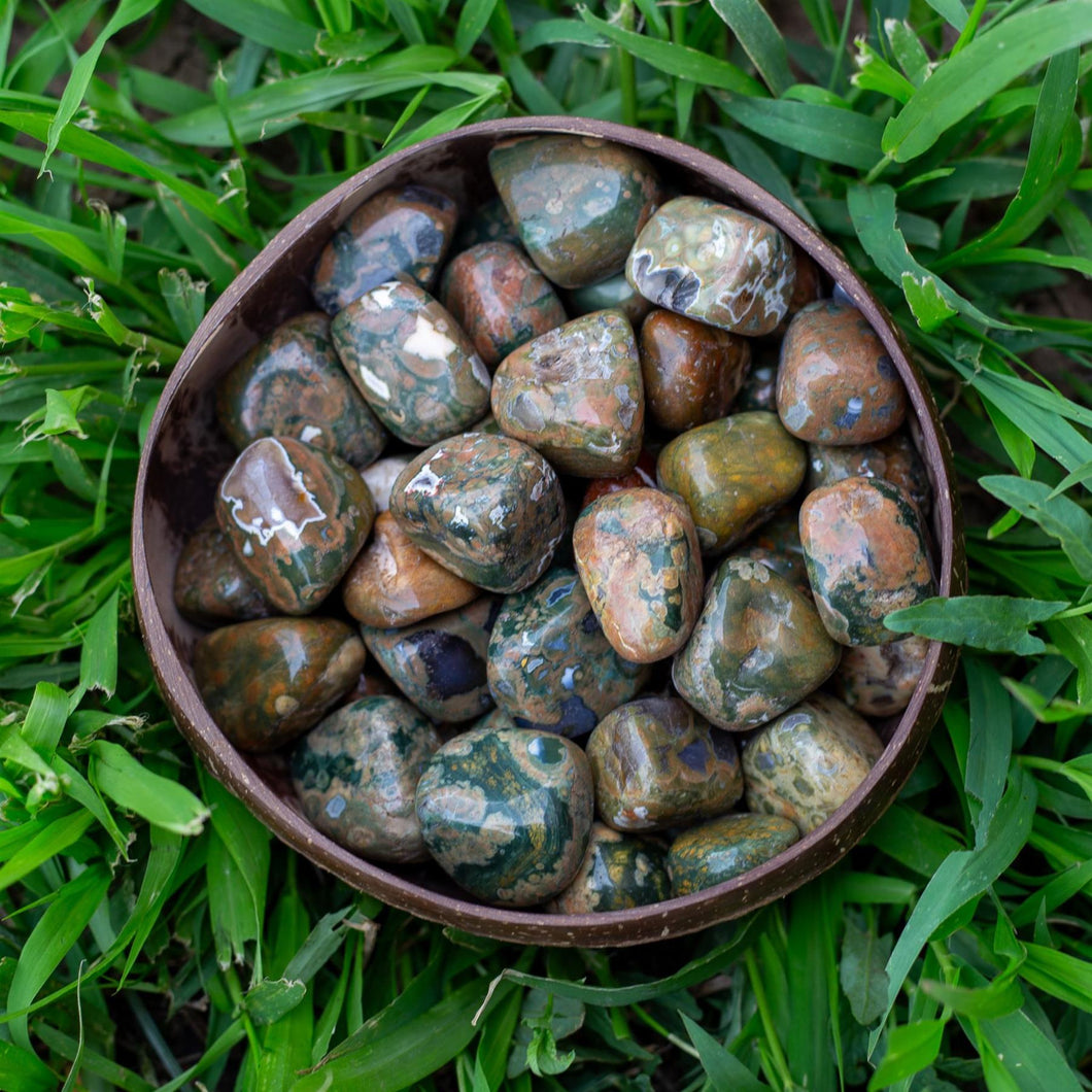 Tumbled Rhyolite Crystal in coconut bowl - Down To Earth