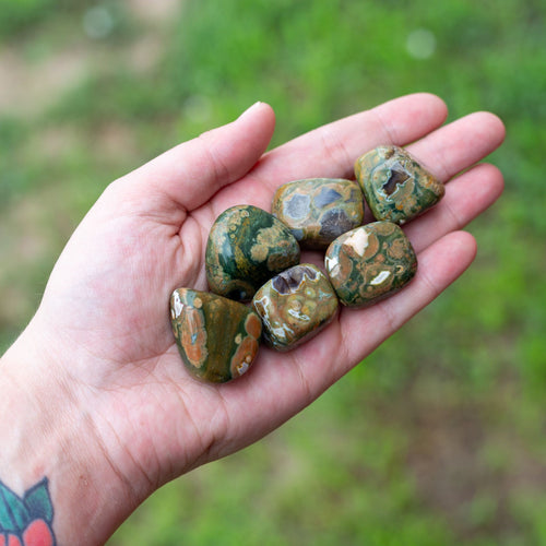 Tumbled Rhyolite Crystal in Hand - Down To Earth