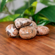 Load image into Gallery viewer, Snakeskin Tumbled on a wooden surface - Down to Earth 
