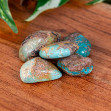 Load image into Gallery viewer, Turquoise Tumbled on a wooden surface high angle - Down to Earth
