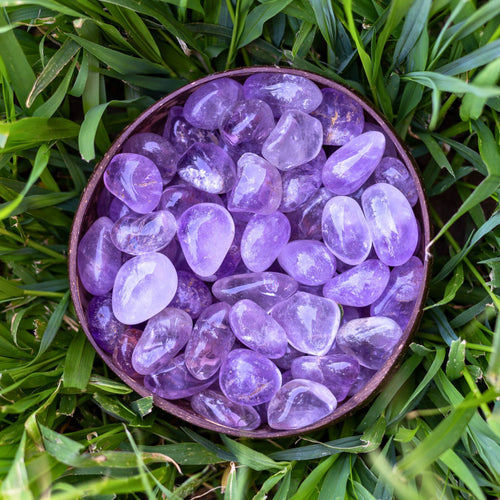 Tumbled Amethyst Maraba in a Coconut Bowl - Down To Earth