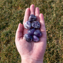 Load image into Gallery viewer, Tumbled Amethyst in the Palm of a Hand - Down To Earth
