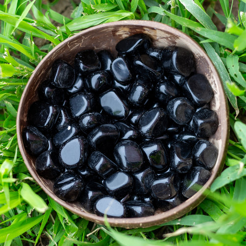 Tumbled Black Obsidian in Coconut Bowl - Down To Earth