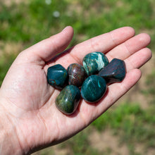 Load image into Gallery viewer, Tumbled Bloodstone in Palm of a Hand - Down To Earth
