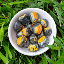 Load image into Gallery viewer, Tumbled Bumblebee Jasper in a white bowl - Down To Earth
