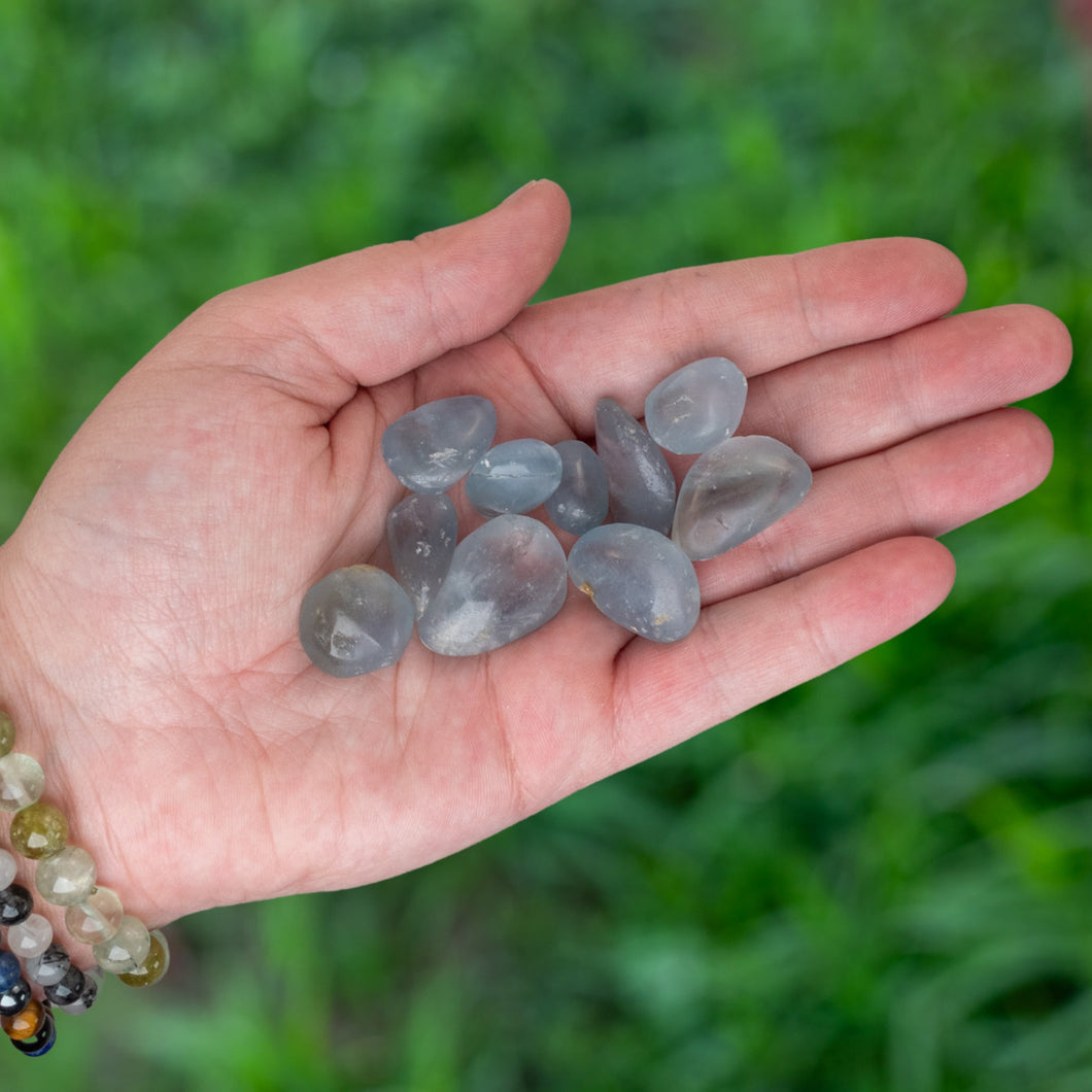 Tumbled Celestite Quartz in the Palm of a  Hand - Down To Earth