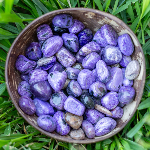 Tumbled Charoite in a Coconut Bowl - Down To Earth