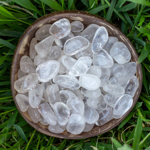 Tumbled Clear Quart in a Coconut Bowl - Down To Earth