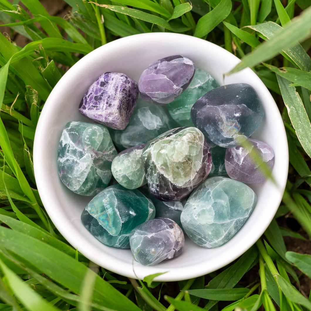 Tumbled Fluorite in a Bowl - Down To Earth