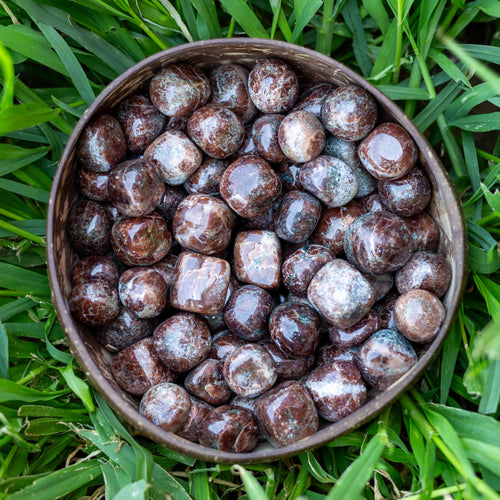 Tumbled Garnet in Coconut Bowl - Down To Earth