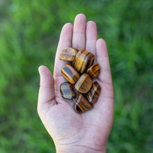 Load image into Gallery viewer, Tumbled Gold Tiger&#39;s Eye in the Palm of a Hand - Down To Earth
