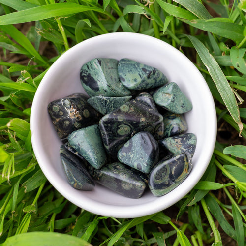 Tumbled Kambaba Jasper in a white bowl  - Down To Earth Online Metaphysical Store